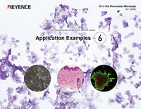 BZ-X800 All-in-One Fluorescence Microscope: Application Guide Vol.6